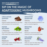 Mushroom Hot Cocoa