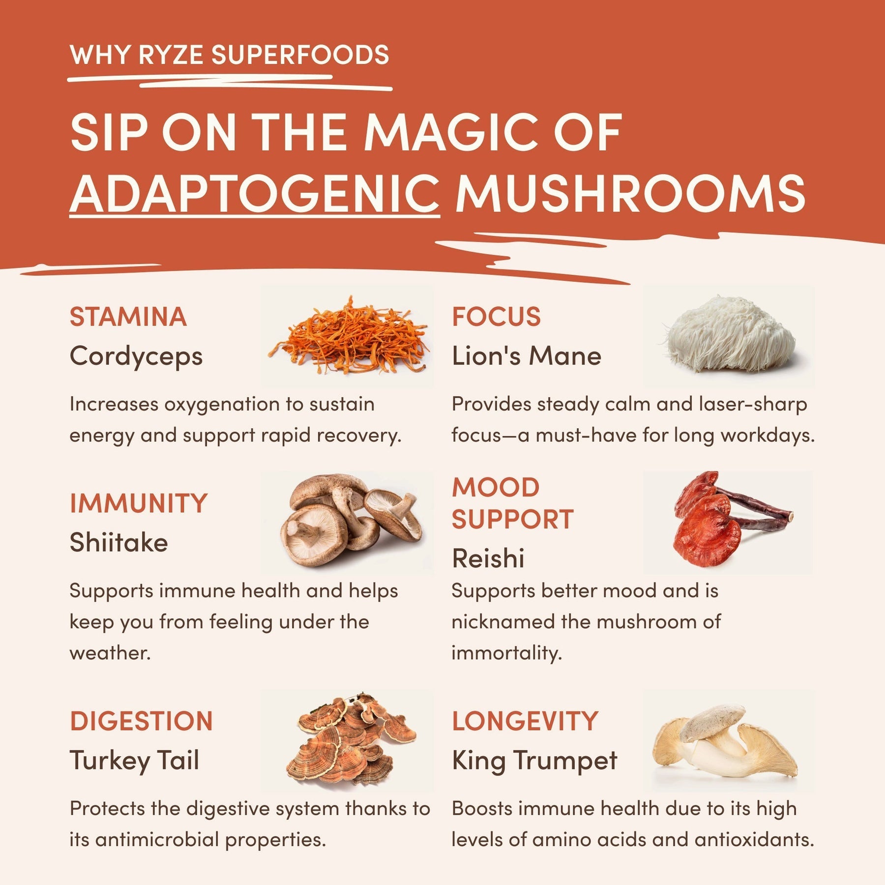 Superfood Creamer