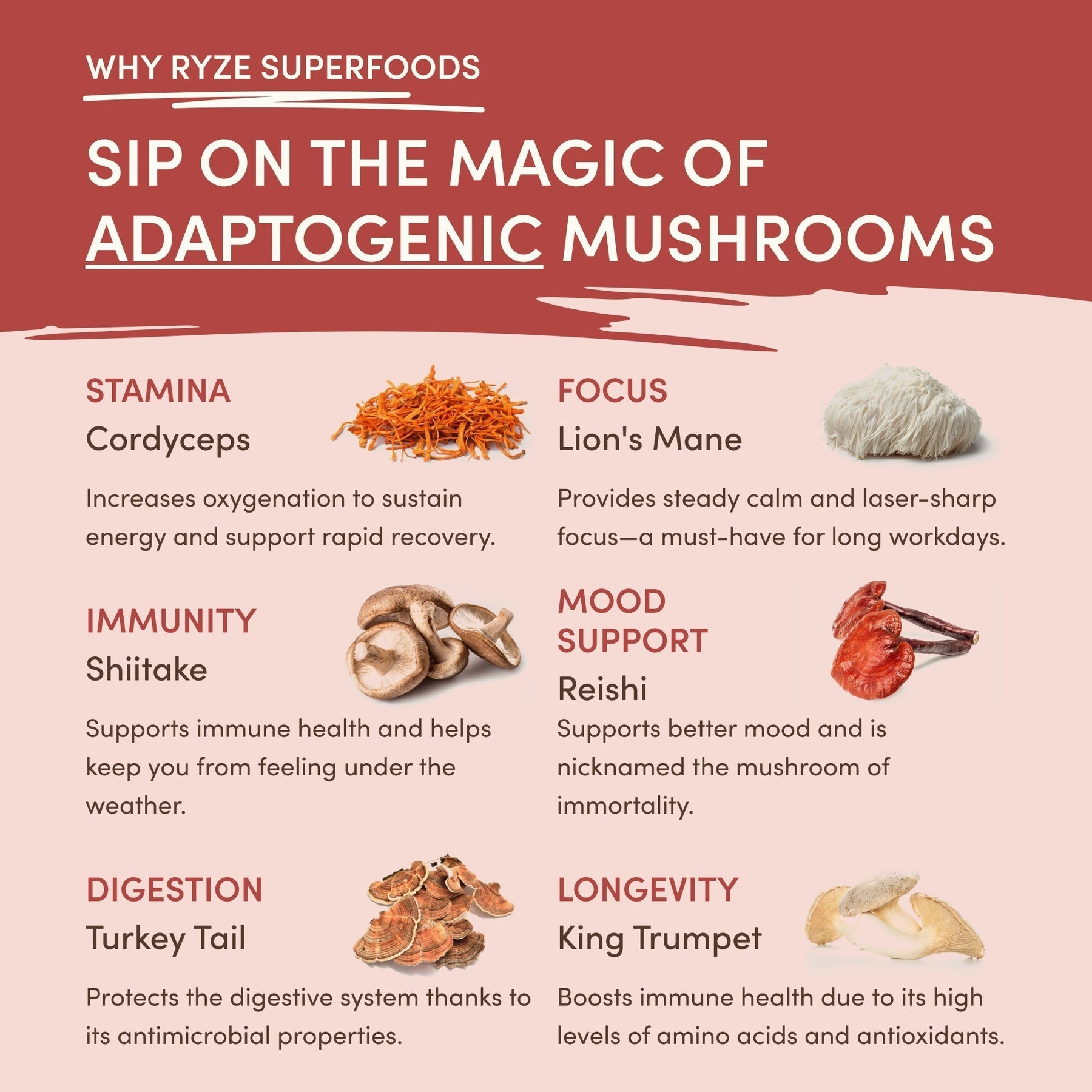 Mushroom Chai