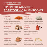 Mushroom Chai